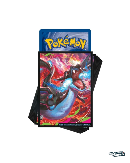 Sleeves Pokémon – Méga-Dracaufeu X – 65 Protège-Cartes