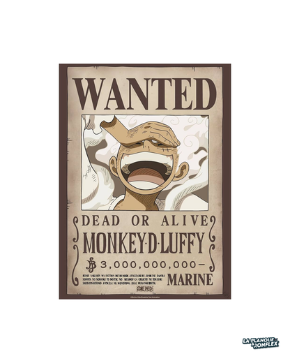 Set de 2 Posters One Piece – Wanted Luffy & Zoro