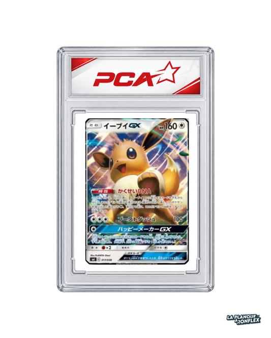 Carte Pokémon Gradée PCA 9.5 – Évoli GX 017 – Eevee GX Starter Sets